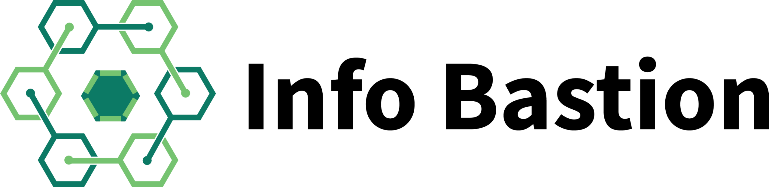 Infobastion-primary-2
