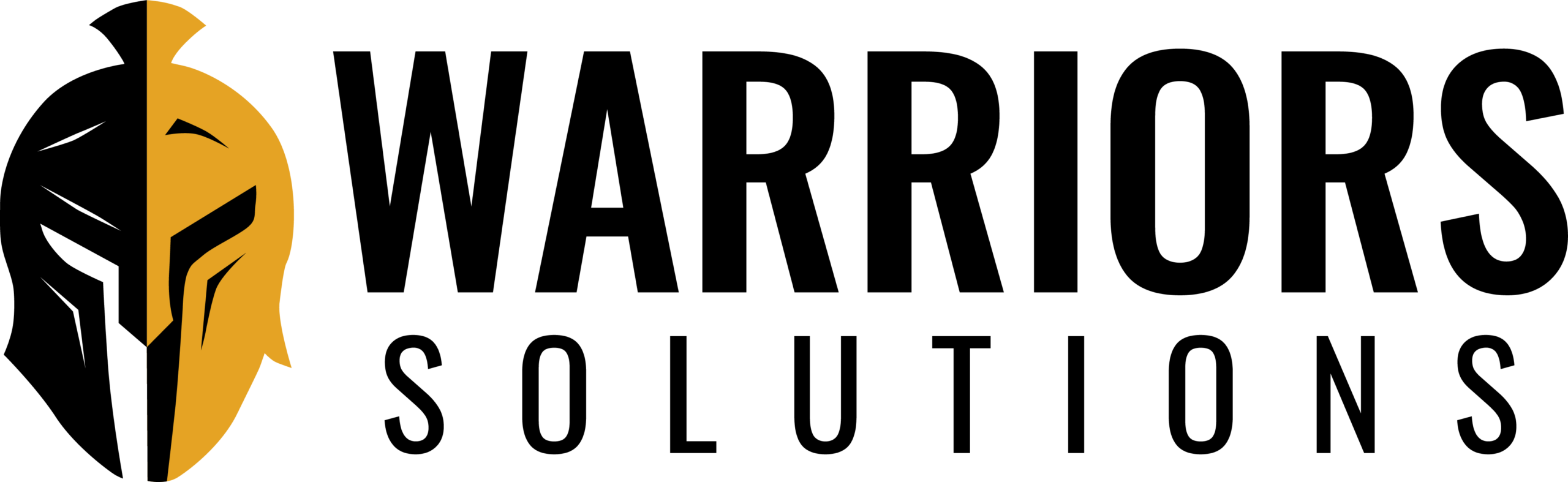 Warriors-Solutions-Logo